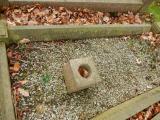 image of grave number 616865